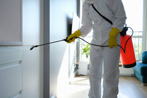 Mold Removal and Inspection in Foreman, AR
